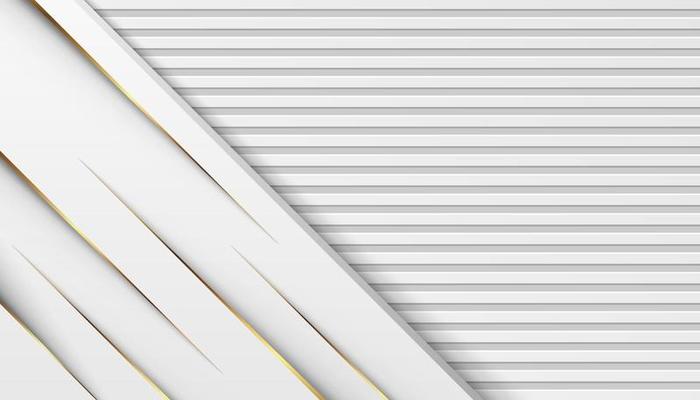 luxury golden light lines with white gray background