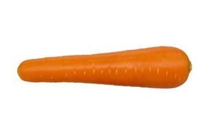 carrot on white background. photo