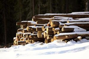 Snow covered logs in Saskatchewan
