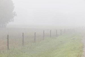 niebla niebla a lo largo de la cerca de Canadá foto