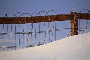 Wire fence in winter photo