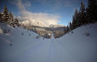 montañas rocosas en invierno foto