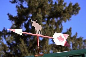 veleta con alces y bandera canadiense foto