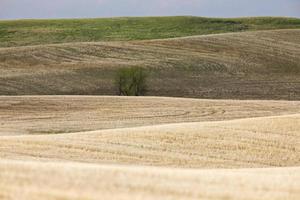 altas llanuras colinas saskatchewan canadá foto