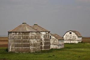 Weathered wooden granaries in scenic Saskatchewan photo