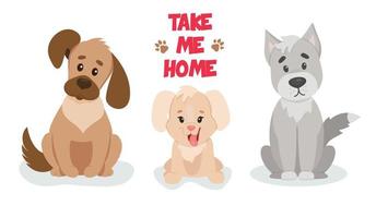 Vector illustration of a cute puppies