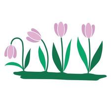 Pink tulips. Design element vector