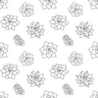 Hand drawn seamless pattern succulent in style outline doodle. Graphics sketch set home desert flower. Vector illustration, isolated black elements on a white background.