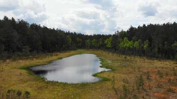 Aerial view Niauka lake in Kurtuvenai regional park, Lithuania countryside nature and flora. video