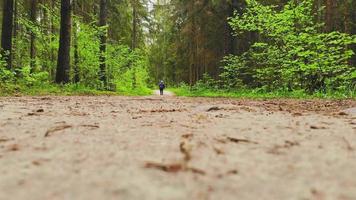 lage hoek statische achteraanzicht Kaukasische oudere blonde vrouw oefening wandelen met nordic polen op bospad weg omgeven door zomer groen.