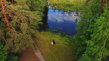 aérea ascendente vista masculino fotógrafo atirar casal de noivos. sessão de fotografia de casamento na natureza na paisagem campestre da lituânia video