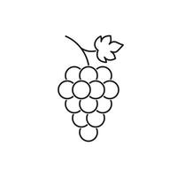 Bunch of grapes fruit with leaf icon for your design vector