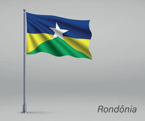 Waving flag of Rondonia - state of Brazil on flagpole. Template