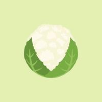 cauliflower flat design vector illustration