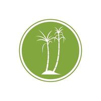 Sugar cane plant logo vector illustration design