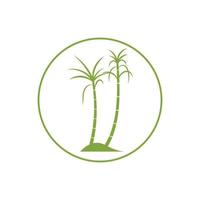 Sugar cane plant logo vector illustration design