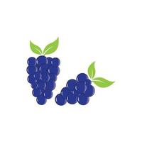 Fondo de diseño de ilustración de icono de vector de uvas