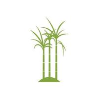 Sugar cane plant logo vector illustration design