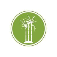 Sugar cane plant logo vector illustration design