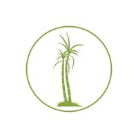 Sugar cane plant logo vector illustration design