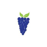 Grapes vector icon illustration design background