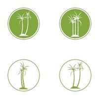 Sugar cane plant logo vector illustration design