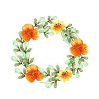 Watercolor wreath with wild flowers and herbs. Cute floral bouquet. vector