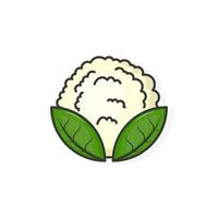 Cartoon icon of cauliflower illustration vector