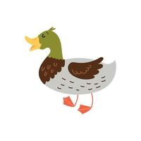 Cute bird character duck vector