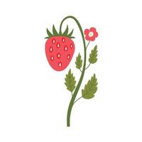 Strawberry plant doodle vector