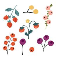 Set forest wild berries vector