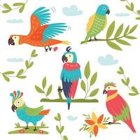 Set of tropical colorful vector parrots