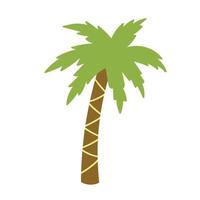 Palm tree handdrawn vector