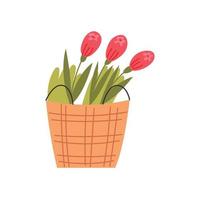 Rose flowers basket vector