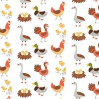 Seamless pattern farm birds geese duck chicken turkey vector