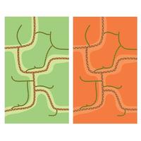 Set of vertical map scheme summer autumn vector