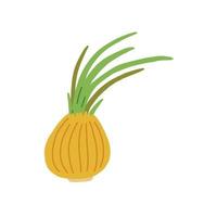 Yellow shallots with green stalks vector