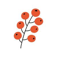 Branch red berry vector