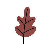 Brown oak leaf vector