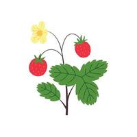 Strawberry bush doodle vector