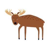 Cute brown moose vector