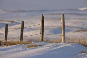 Prairie Fence in Winter photo