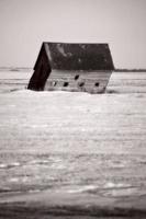 Abandoned farm buildings in Saskatchewan photo