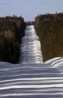 logging road in winter photo