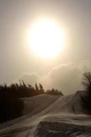 logging road in winter photo