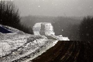 logging road in winter photo