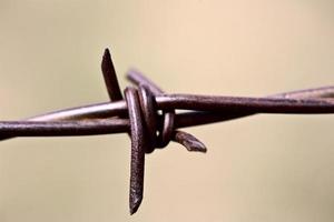 Barbed wire strand photo