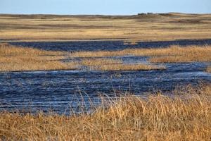 High water at Chaplin Lake Migratory Bird Refuge photo