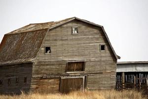 Old weathered barn in rural Saskatchewan photo