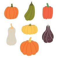 Set colorful pumpkins different shape vector